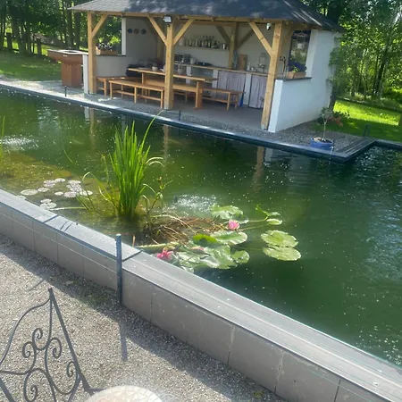 Alexa Borovany (Ceske Budejovice)