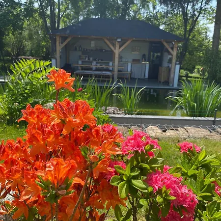 Apartament Alexa Borovany (Pisek)